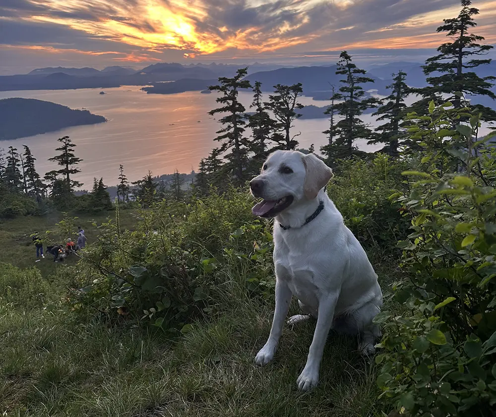 Sitka Self Charters Shop Dog