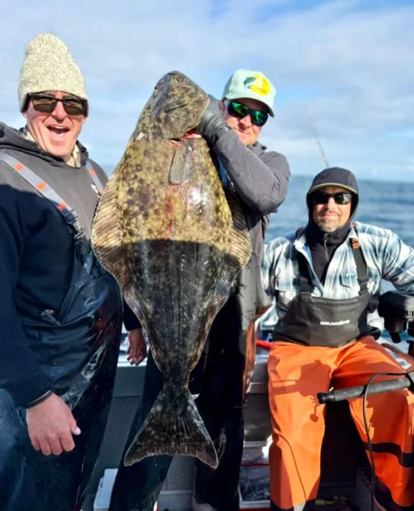 Sitka Fishing Report