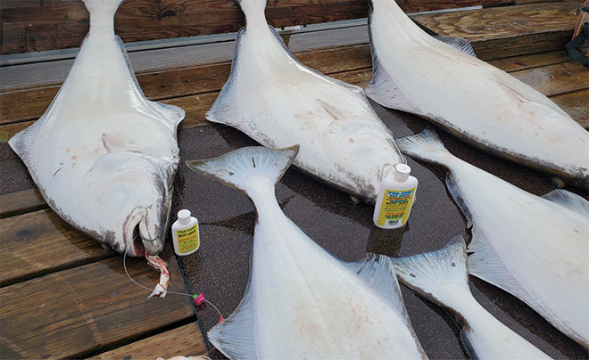 Sitka silver salmon fishing 1
