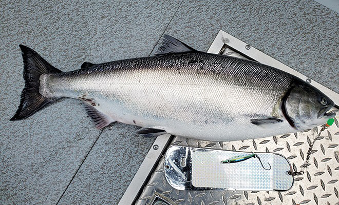 Sitka silver salmon fishing